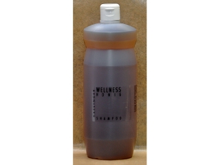 Haslinger Honigshampoo 1 Liter